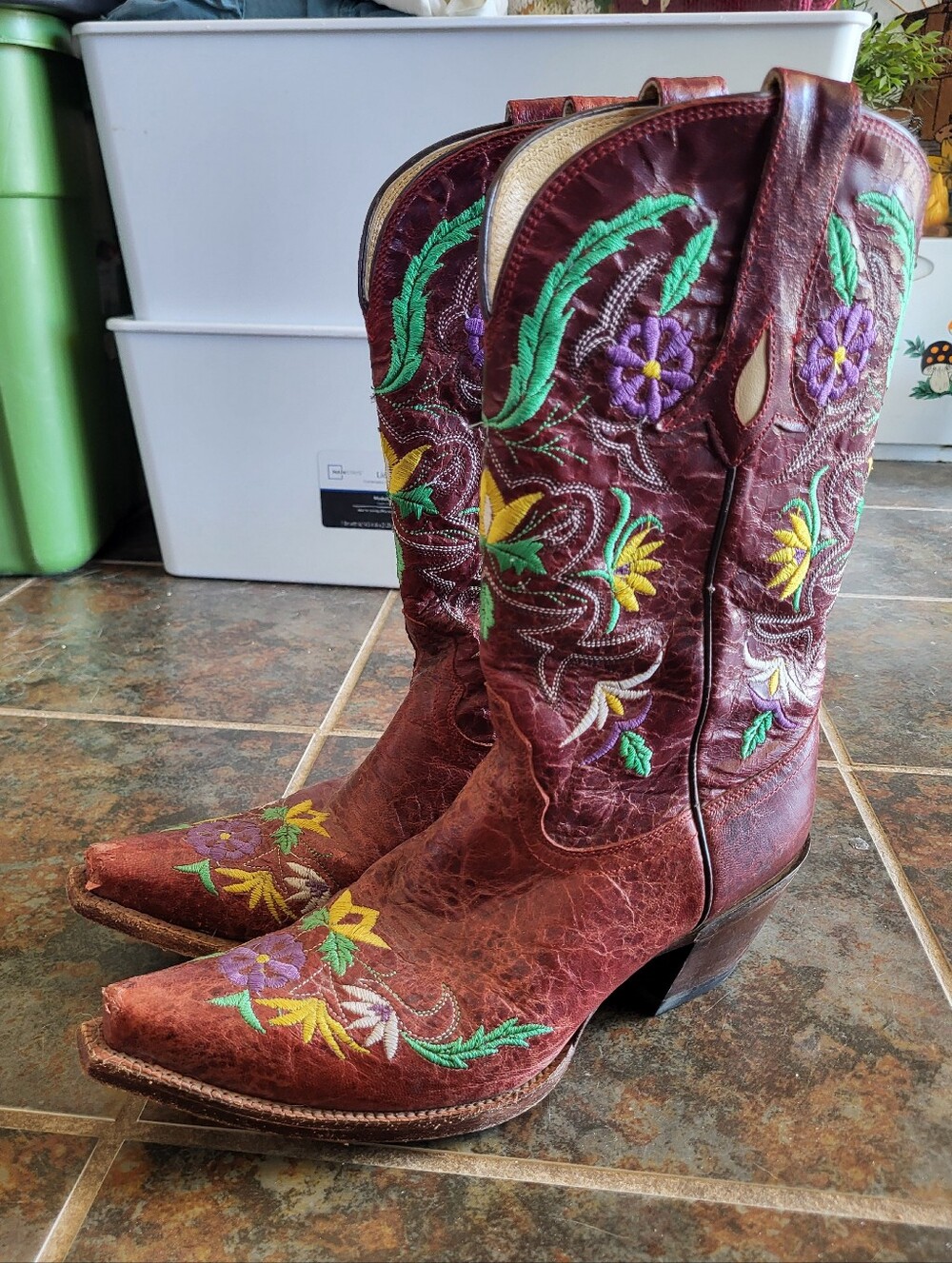 Tony Lama Embroidered Boots
